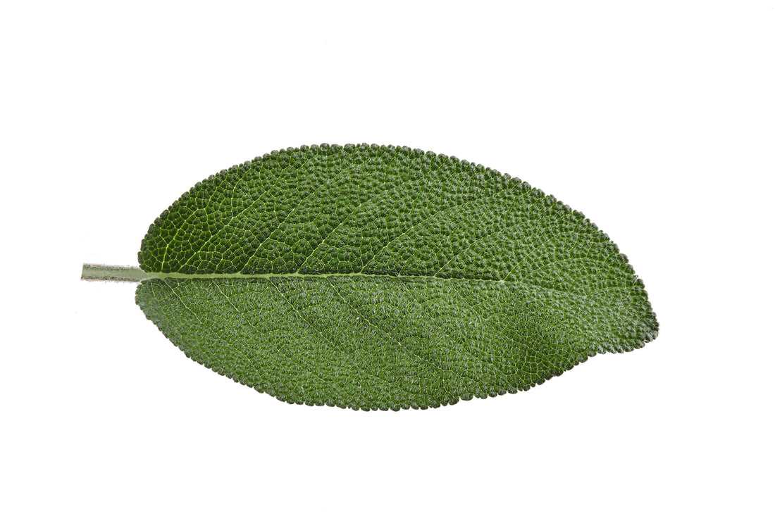 Pourquoi une huile pour nettoyer ta peau en douceur?  Petite histoire courte du savon.