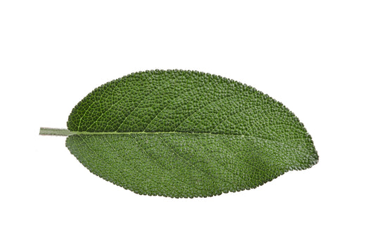 Pourquoi une huile pour nettoyer ta peau en douceur?  Petite histoire courte du savon.