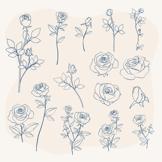 Des ingrédients-clés naturels pour ta peau