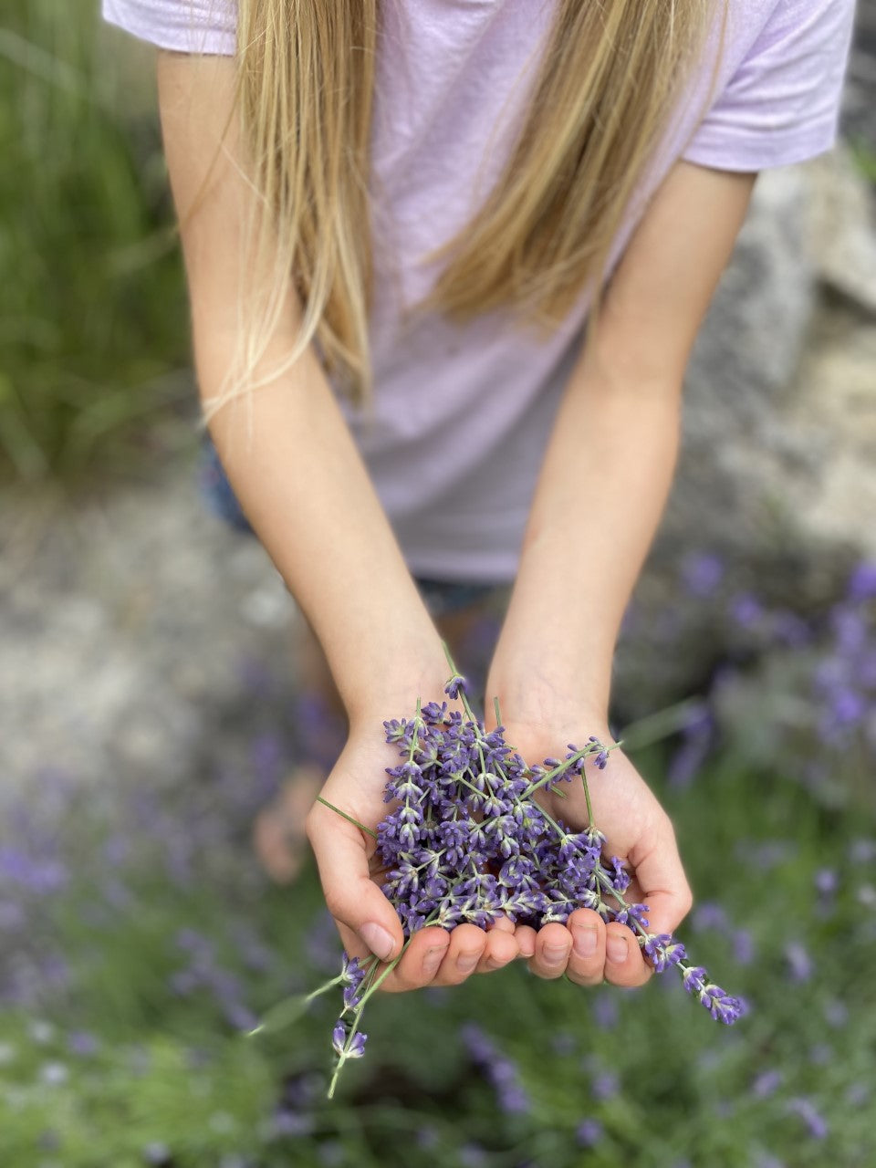 Duo sérum visage et savon agencé - Lavande et calendule
